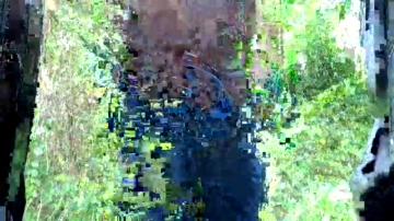 Cammin86  25-09-2021